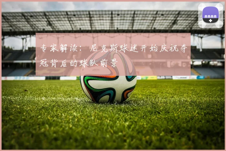 专家解读:尼克斯球迷开始庆祝夺冠背后的球队前景