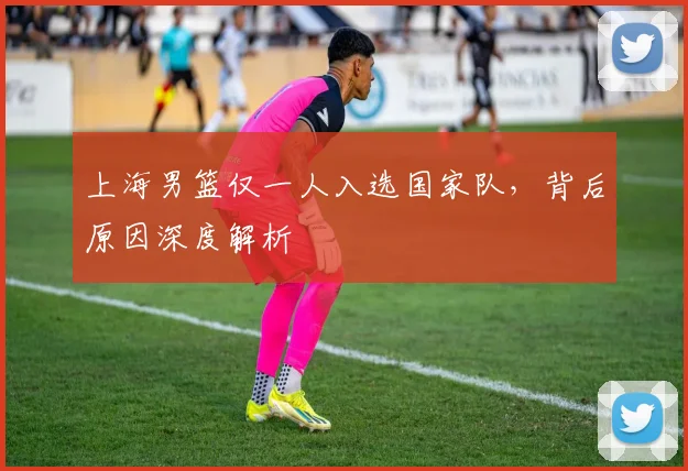 上海男篮仅一人入选国家队，背后原因深度解析